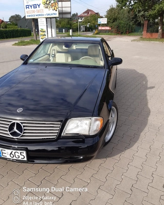 Mercedes-Benz SL cena 79500 przebieg: 150000, rok produkcji 1998 z Łódź małe 191